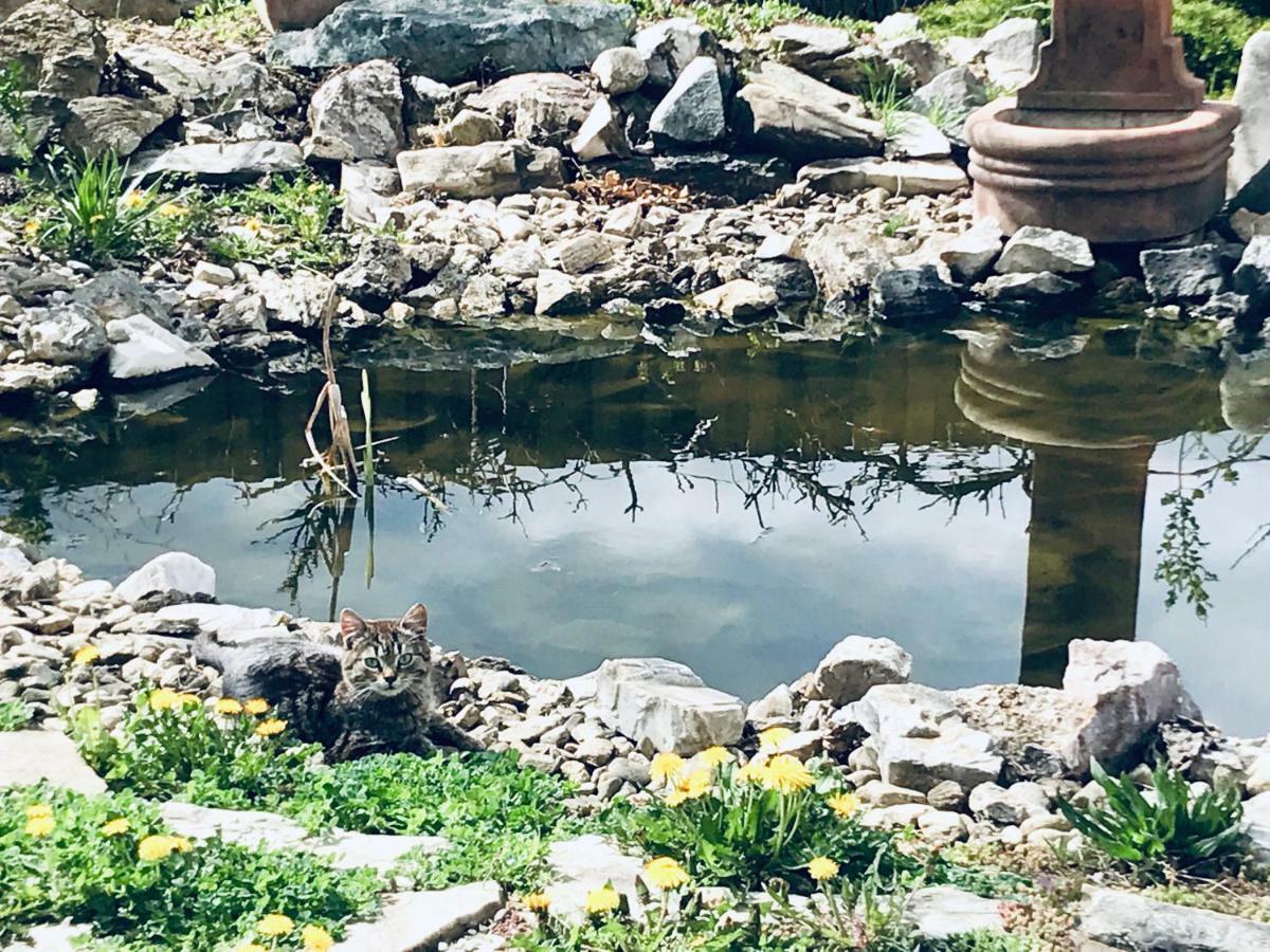 فندق Casa Cu Suflet سيفِسوارا المظهر الخارجي الصورة