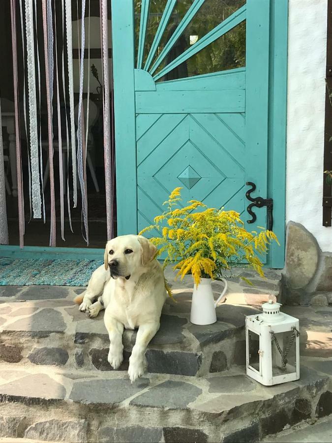 فندق Casa Cu Suflet سيفِسوارا المظهر الخارجي الصورة
